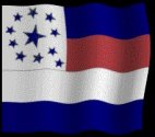 Eleventh Texas Cavalry Flag (CSA)