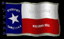 1st Texas Wigfall Flag