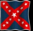 Walker's Texas Division Flag